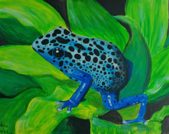 Poison Dart Frog svg #5, Download drawings