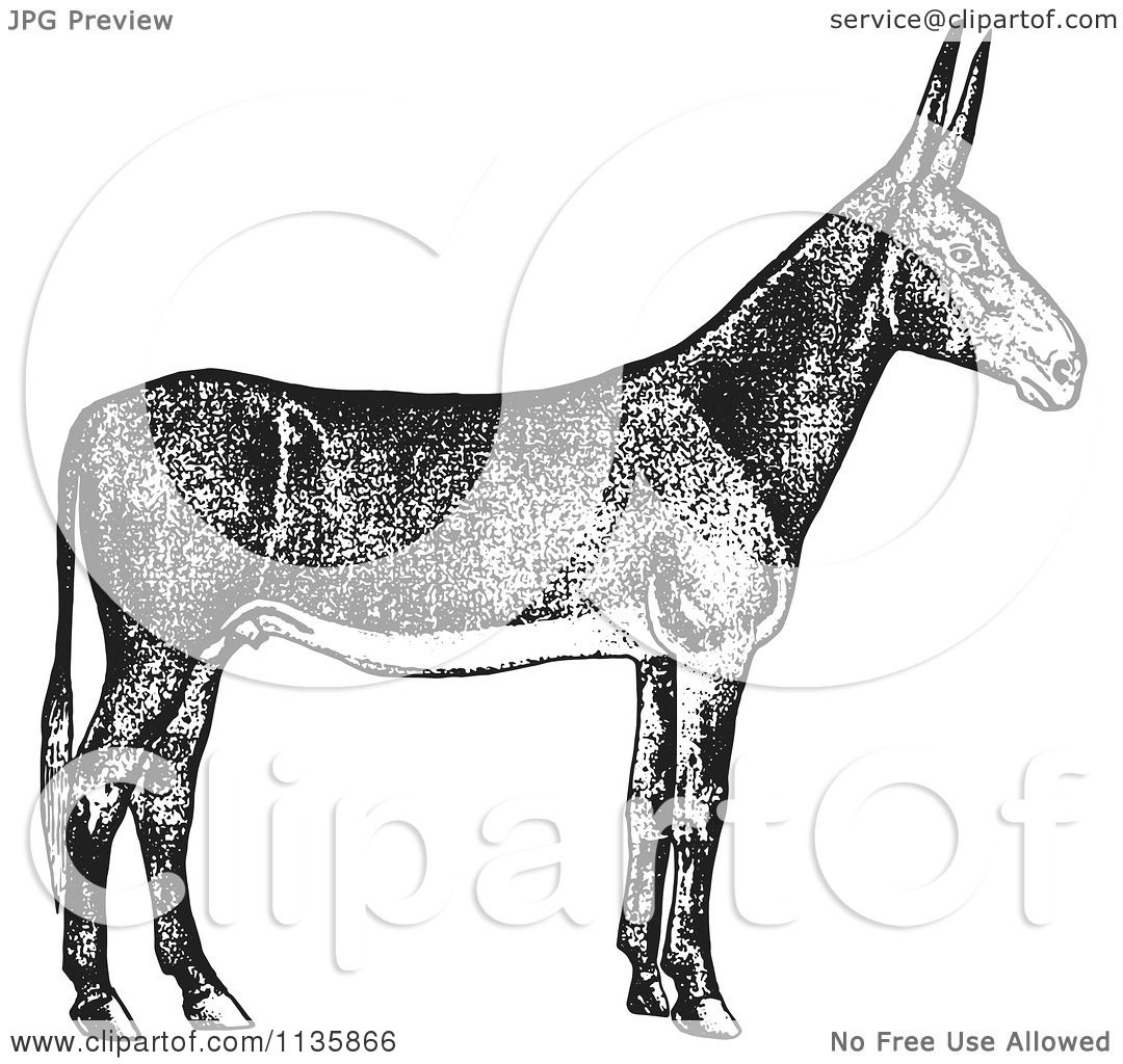 Poitou Donkey coloring #17, Download drawings