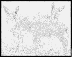 Poitou Donkey coloring #12, Download drawings