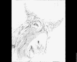 Poitou Donkey coloring #9, Download drawings