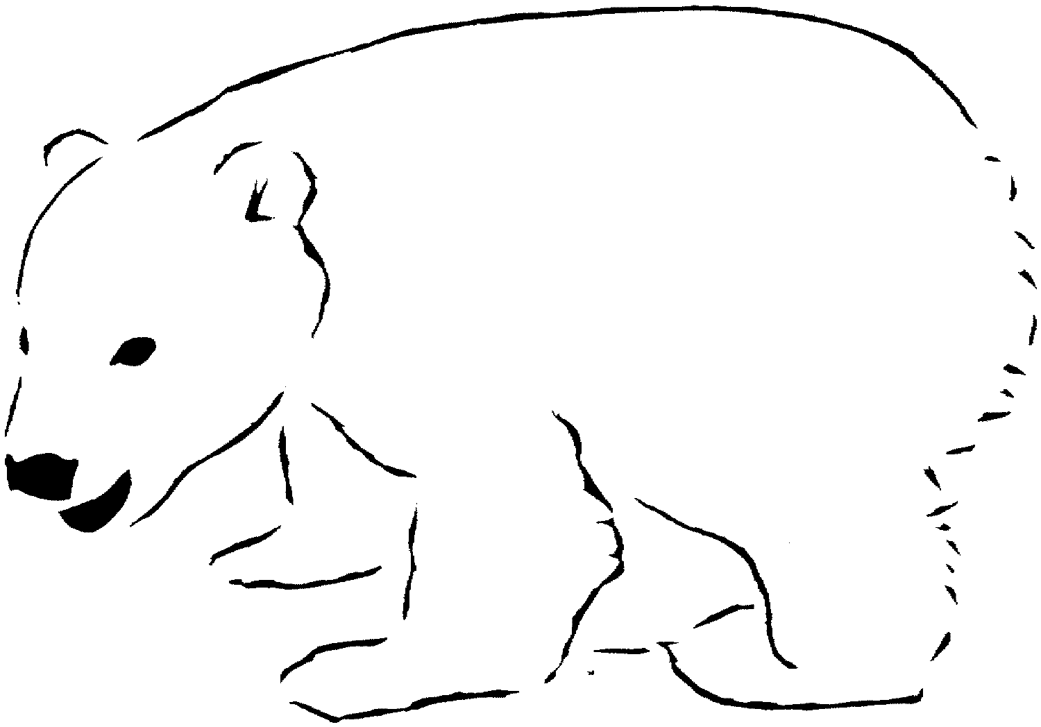 Polar  Bear coloring #20, Download drawings