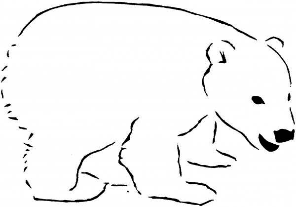 Polar  Bear coloring #12, Download drawings