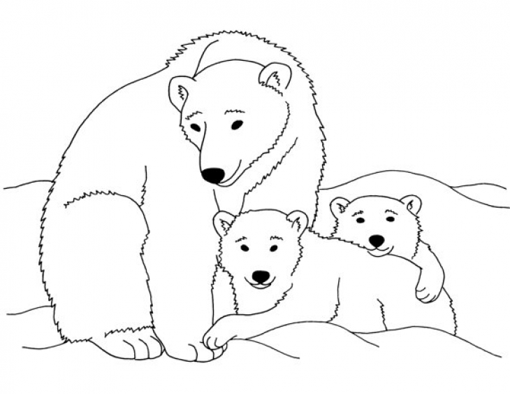Polar  Bear coloring #4, Download drawings