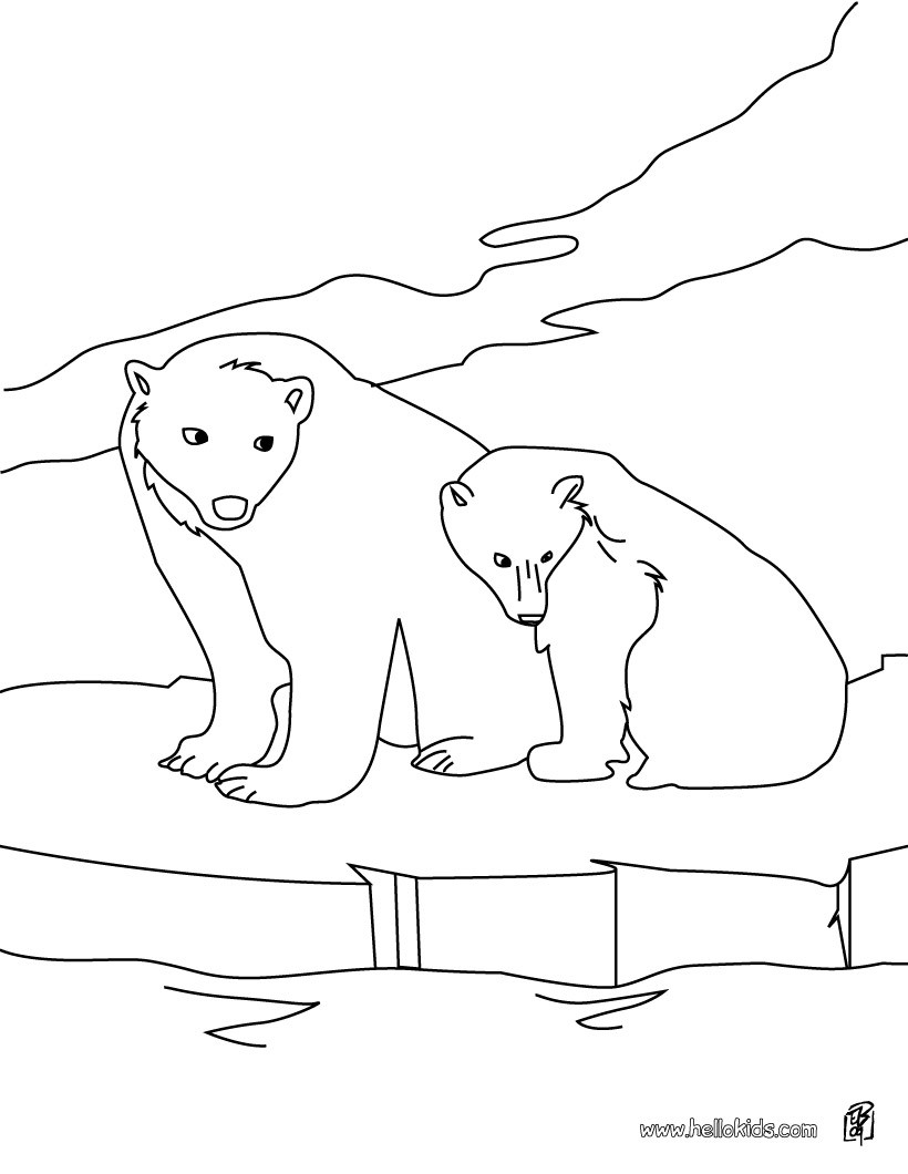 Polar  Bear coloring #2, Download drawings