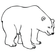 Polar  Bear coloring #7, Download drawings