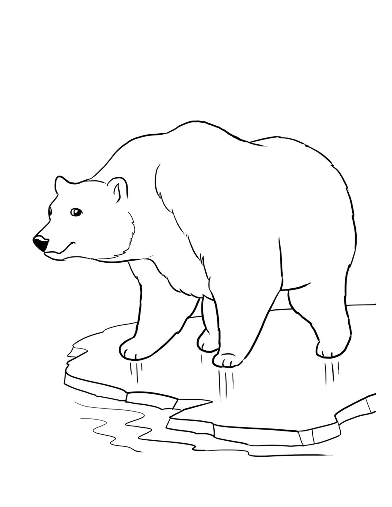 Polar coloring #17, Download drawings