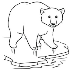 Polar  Bear coloring #9, Download drawings