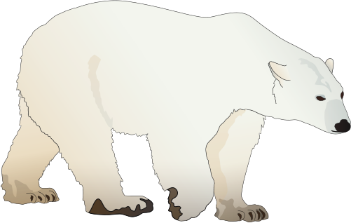 Polar  Bear svg #6, Download drawings