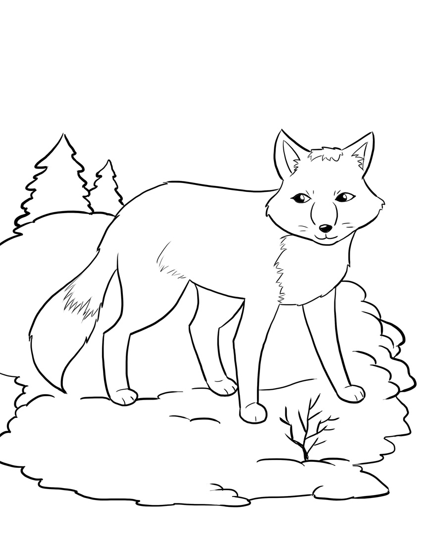 Red Fox coloring #2, Download drawings