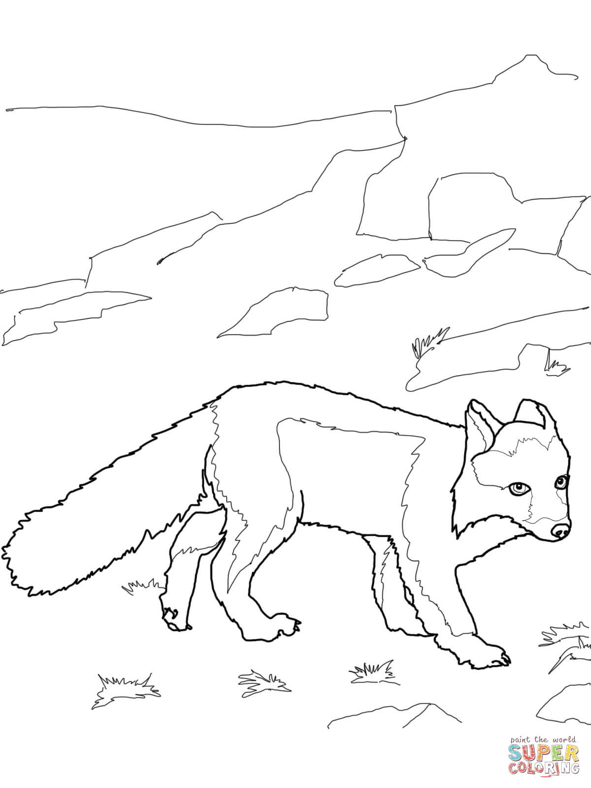 Polar Fox coloring #6, Download drawings