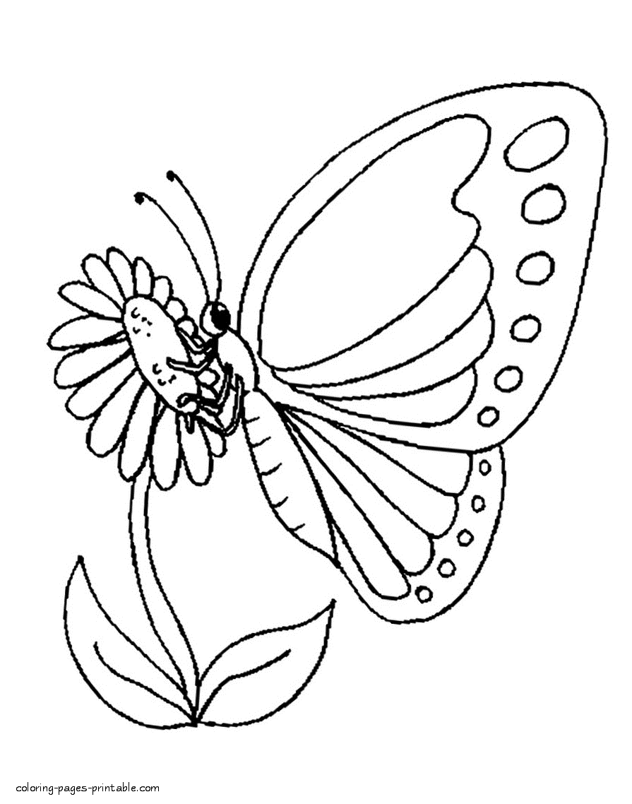 Pollination coloring #18, Download drawings