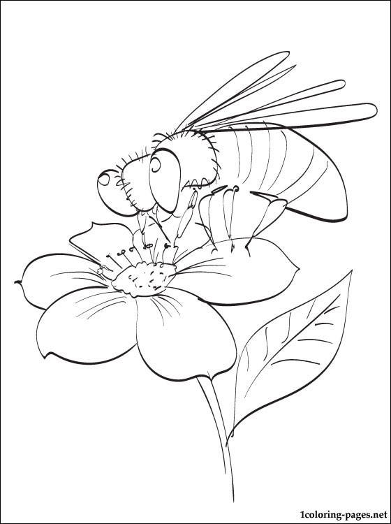 Pollination coloring #4, Download drawings