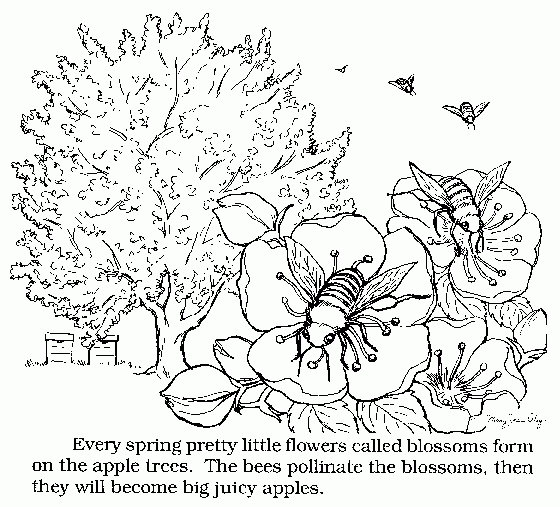 Pollination coloring #12, Download drawings