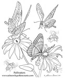 Pollination coloring #2, Download drawings