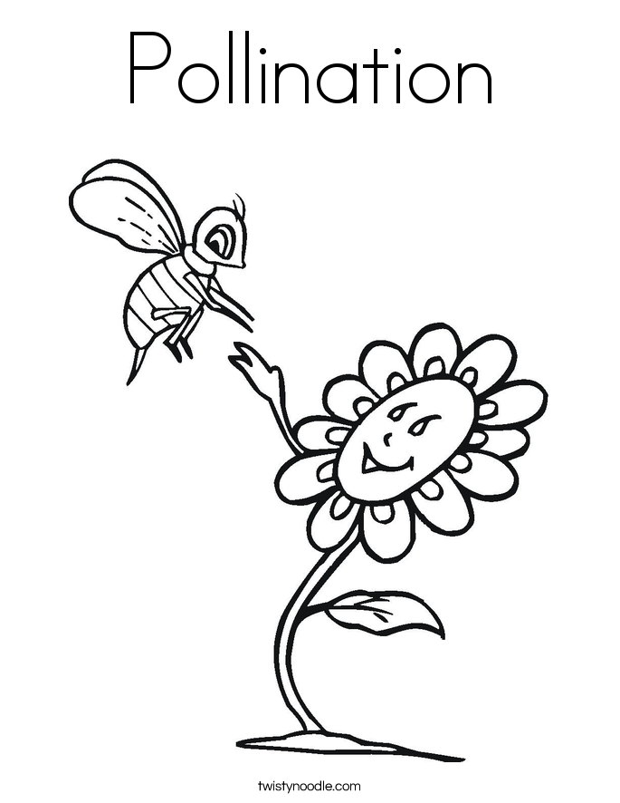 Pollination coloring #19, Download drawings