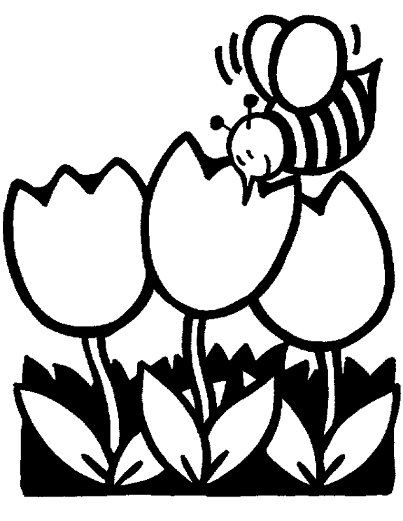 Pollination coloring #3, Download drawings