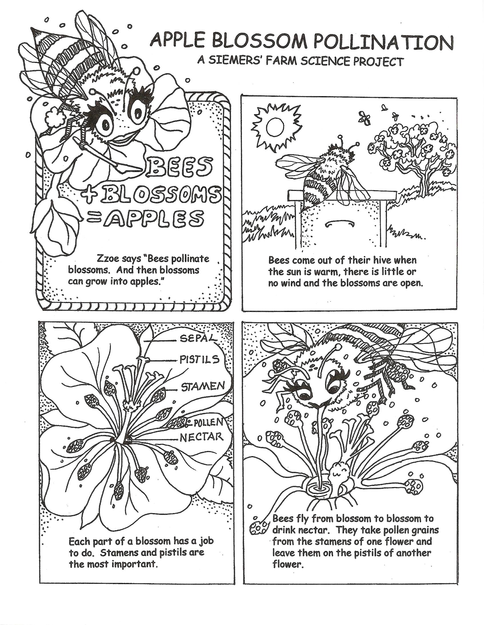 Pollination coloring #7, Download drawings