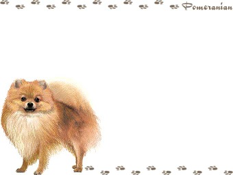Pomeranian clipart #3, Download drawings