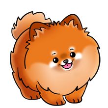 Pomeranian clipart #19, Download drawings