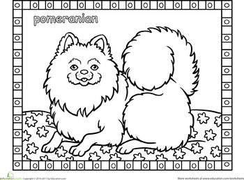 Pomeranian coloring #16, Download drawings