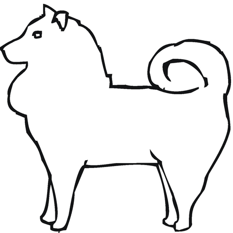 Pomeranian coloring #14, Download drawings