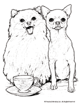 Pomeranian coloring #18, Download drawings