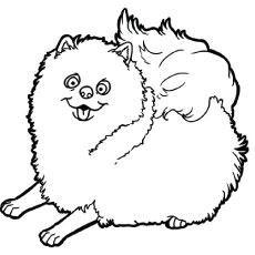 Pomeranian coloring #19, Download drawings
