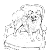 Pomeranian coloring #7, Download drawings