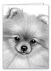 Pomeranian coloring #15, Download drawings