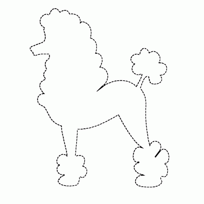 Poodle coloring #19, Download drawings