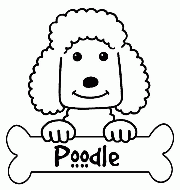 Poodle coloring #14, Download drawings