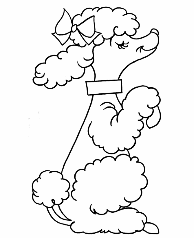 Poodle coloring #15, Download drawings