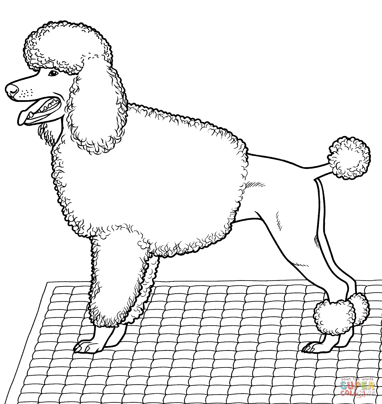 Poodle coloring #7, Download drawings
