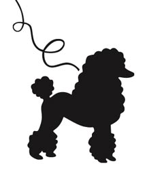 Download Standard Poodle svg for free - Designlooter 2020  ‍ 