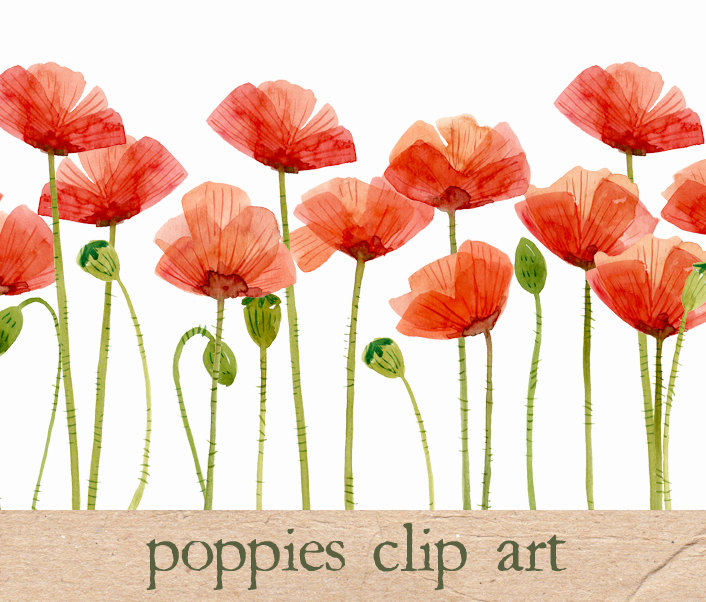Poppy clipart #1, Download drawings