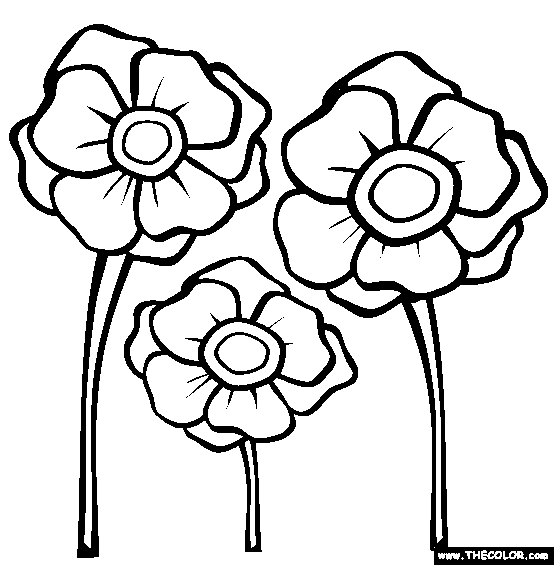 Poppy coloring #20, Download drawings