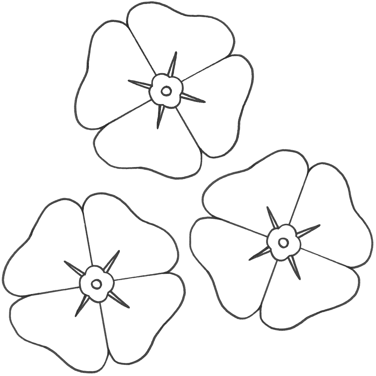 Poppy coloring #15, Download drawings