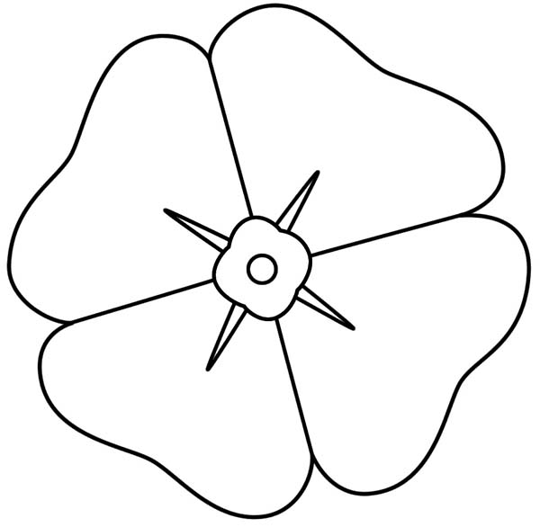 Poppy coloring #10, Download drawings
