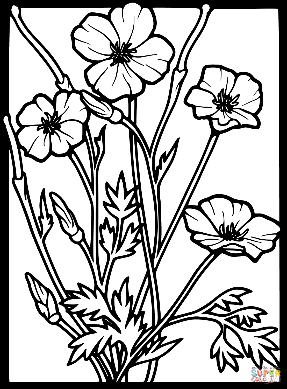 Poppy coloring #13, Download drawings