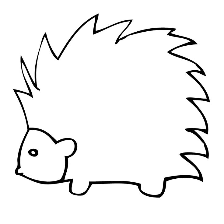 Porcupine coloring #5, Download drawings