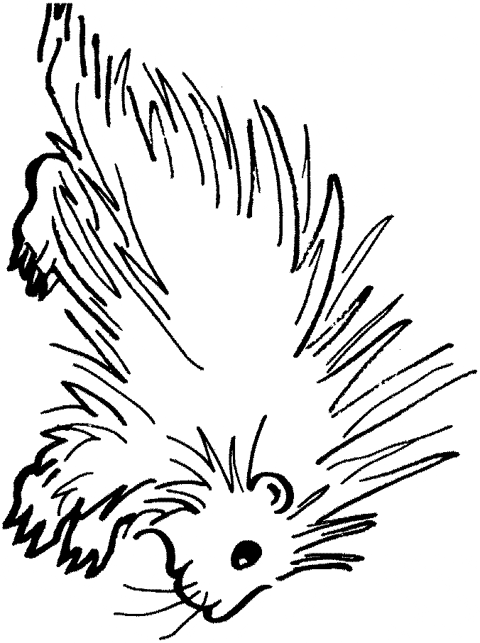 Porcupine coloring #12, Download drawings