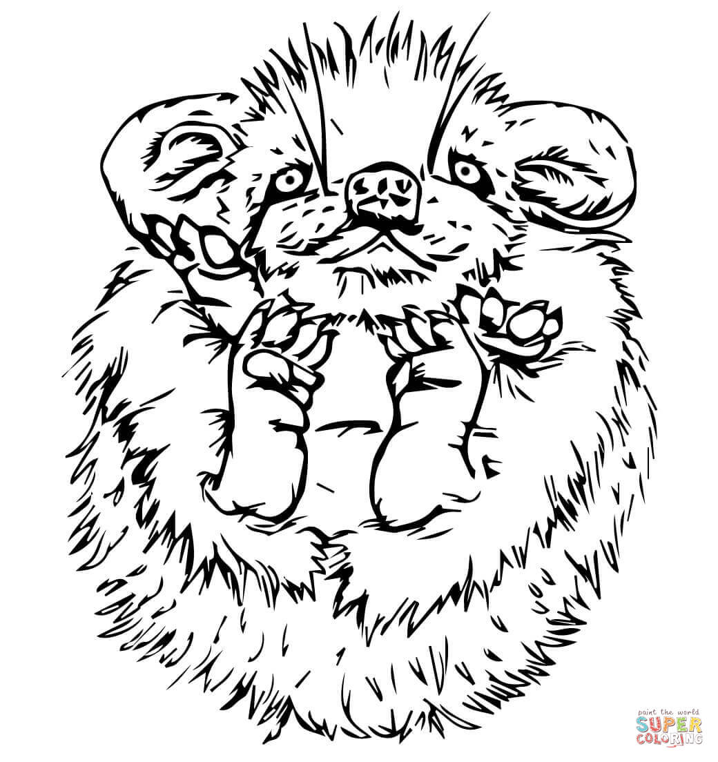 Porcupine coloring #8, Download drawings