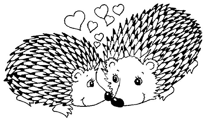 Porcupine coloring #1, Download drawings