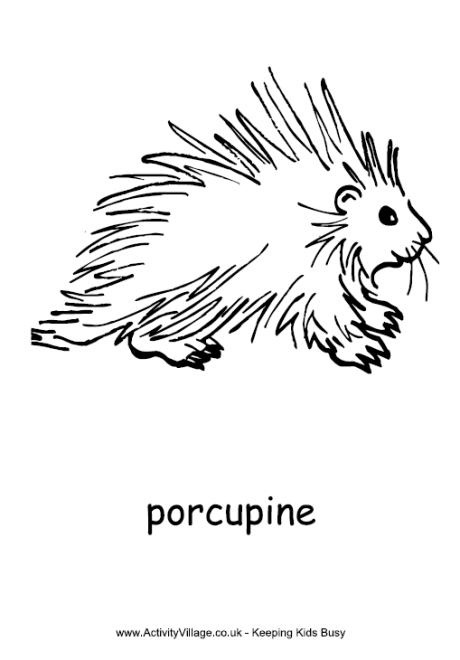 Porcupine coloring #4, Download drawings
