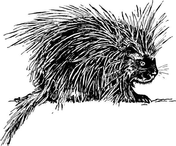 Porcupine svg #16, Download drawings