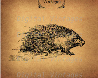 Porcupine svg #1, Download drawings
