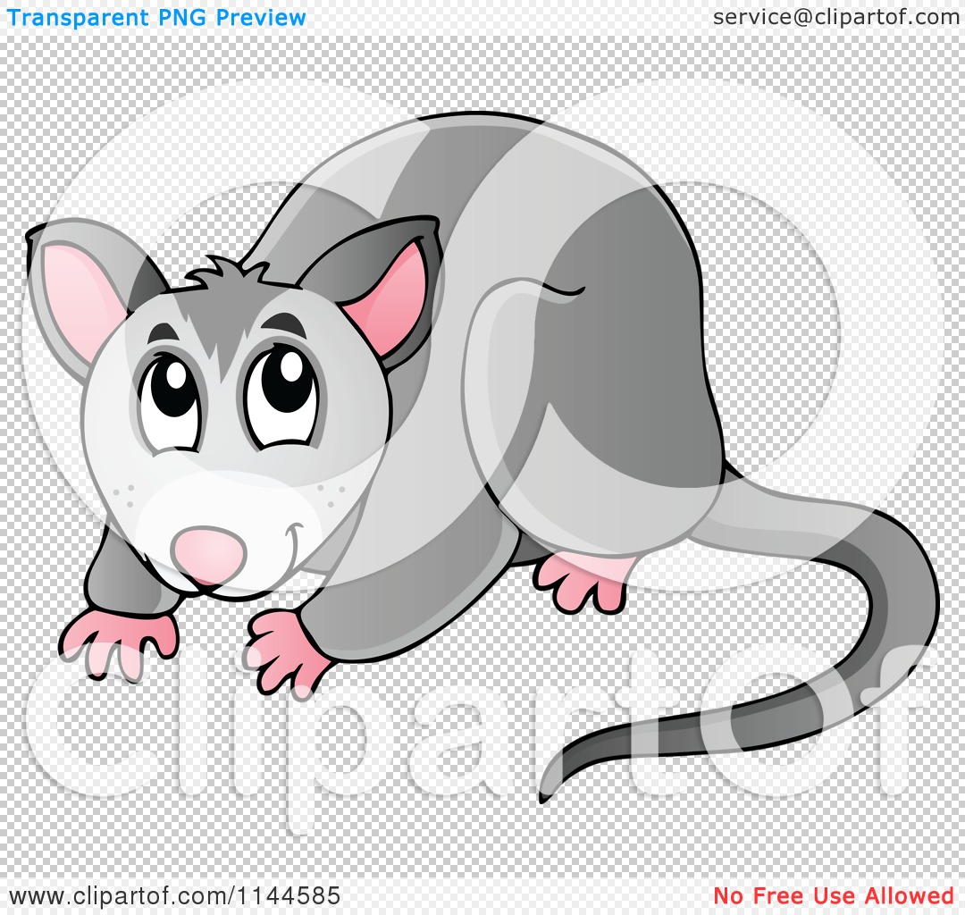 Possum clipart #4, Download drawings