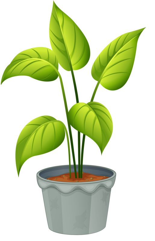 Pot Plant clipart #10, Download drawings