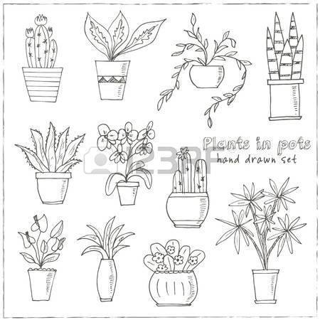 Pot Plant coloring #7, Download drawings