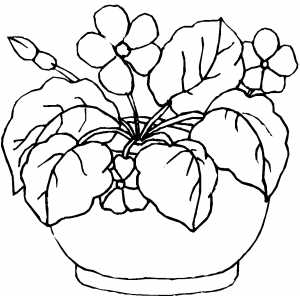 Pot Plant coloring #9, Download drawings